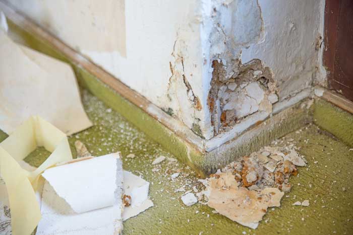 Humedades por capilaridad: daños en el muro de un edificio