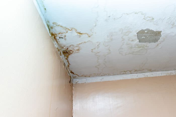 Filtraciones y goteras: desperfectos y pintura desprendida en el techo de una vivienda