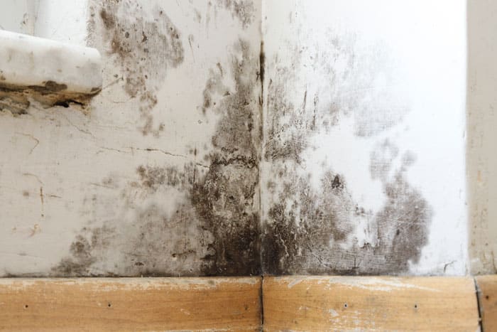 Humedades por condensación: moho y manchas oscuras en la pared